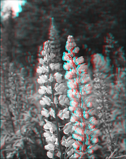 Anaglyph